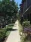284 Tustin Field Drive thumbnail 20