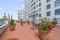 702 Ash Street #300 thumbnail 23