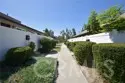 2248 Loma Alta Drive thumbnail 16
