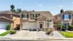 42124 Orange Blossom thumbnail 1