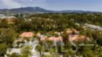 21256 Camelia thumbnail 37