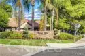 27355 Paseo Laguna thumbnail 42