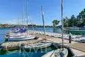 28149 Manchuca thumbnail 59