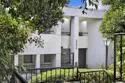 3225 Newell Street #5 thumbnail 2