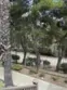 10284 Wateridge Circle #243 thumbnail 7