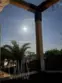 453 Almond Avenue #6 thumbnail 26