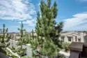 1164 Via Lucero thumbnail 41