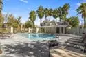 1800 E Lakeshore 1212 thumbnail 23