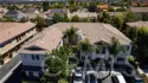 26426 Arboretum #806 thumbnail 2