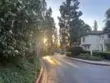 721 Eastshore #56 thumbnail 3