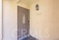 1022 Grape thumbnail 18