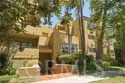 12841 Bloomfield Street #104 thumbnail 1