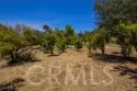 42525 Calle Capistrano thumbnail 52