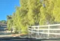 35120 Calle Nopal thumbnail 52