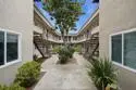 4503 Hamilton Street #1 thumbnail 7
