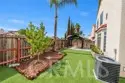 25099 Calle Entradero thumbnail 36