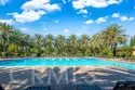 59 Island Coral thumbnail 37