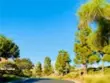 27585 Paseo Segovia thumbnail 45