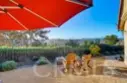 27349 Paseo Placentia thumbnail 68