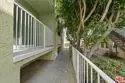 428 Hill Street #16 thumbnail 3