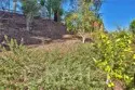 32098 Camino Seneco thumbnail 48
