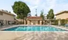25261 Tanoak thumbnail 40