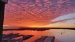 1205 Pacific Hwy #3101 thumbnail 5