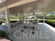 26775 Chamomile thumbnail 61