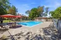 440 Elsmere Drive thumbnail 37