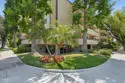 2386 E Del Mar Boulevard #220 thumbnail 1