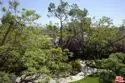 2160 Century Park East #1010 thumbnail 7
