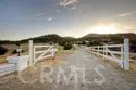 21977 Paseo Chico thumbnail 37