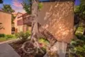 7890 E Spring #23A thumbnail 2