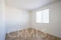 45743 Magnolia thumbnail 16