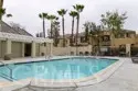 1800 E Lakeshore #1803 thumbnail 20