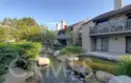 10561 S Lakeside Drive #172 thumbnail 14