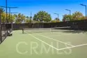 42145 Delmonte thumbnail 50
