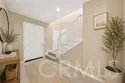 73 Island Coral thumbnail 3