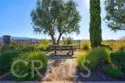 34965 Via Del Ponte thumbnail 62