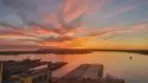 1205 Pacific Hwy #3101 thumbnail 6
