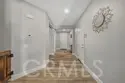 31109 Rose Arbor Court thumbnail 10
