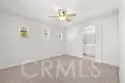 361 Summer thumbnail 12