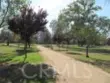 5143 Bakman #417 thumbnail 17