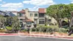 19282 Torreypines thumbnail 11