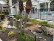 7532 Seaspring #201 thumbnail 32