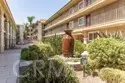 3220 Altura Avenue #217 thumbnail 19