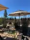 38070 Via La Colina thumbnail 40