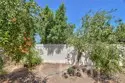 45743 Magnolia thumbnail 42