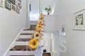 1048 Cabrillo Park Drive #A thumbnail 22