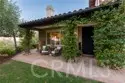 26843 Orchid Tree thumbnail 12